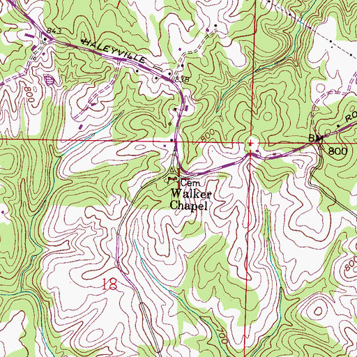 Topographic Map of Walker Chapel, AL