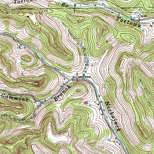 Topographic Map of Gammons Branch, TN
