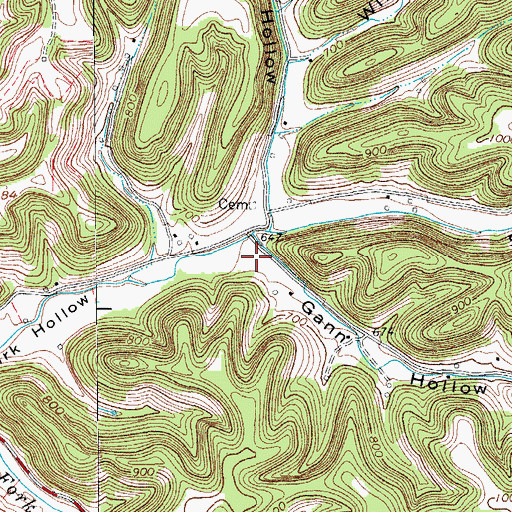 Topographic Map of Gann Hollow, TN