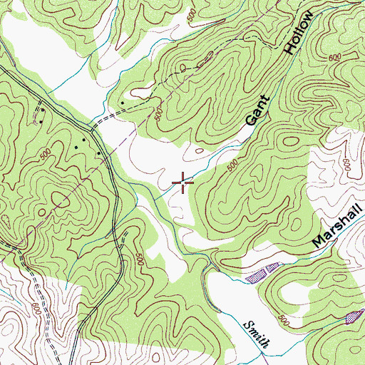 Topographic Map of Gant Hollow, TN