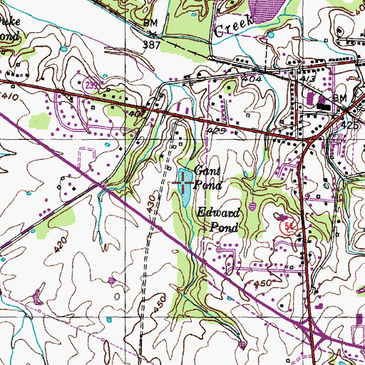 Topographic Map of Gant Pond, TN