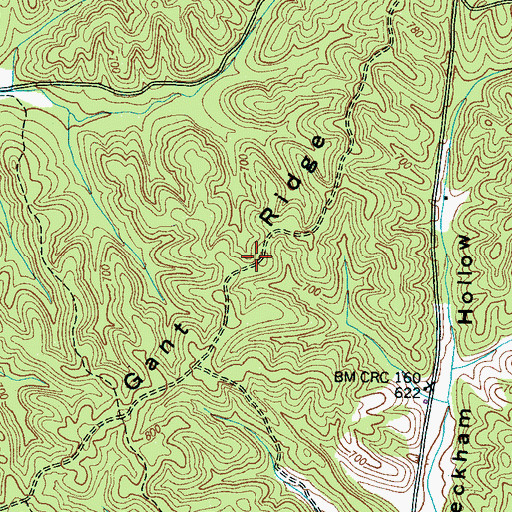 Topographic Map of Gant Ridge, TN