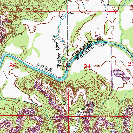 Topographic Map of Walker County Branch, AL