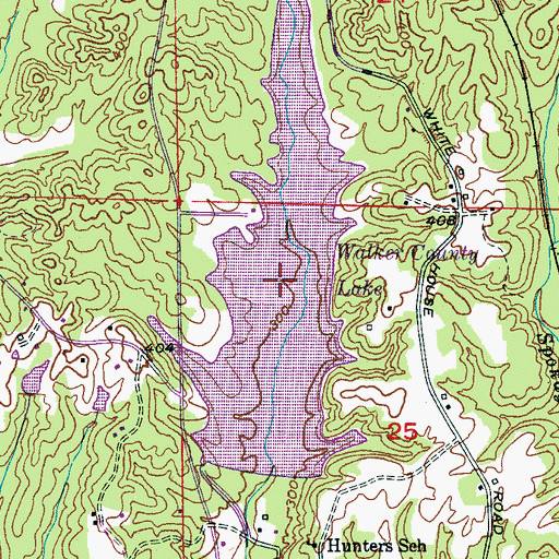 Topographic Map of Walker County Lake, AL