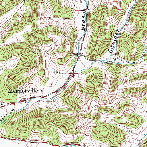 Topographic Map of Gaulden Branch, TN