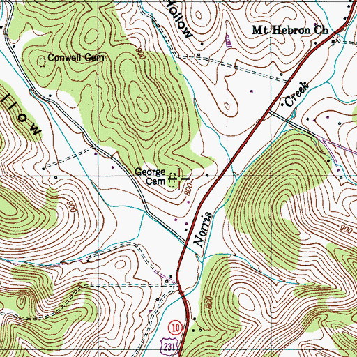 Topographic Map of George Cemetery, TN