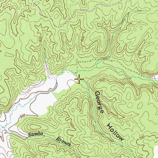 Topographic Map of George Hollow, TN