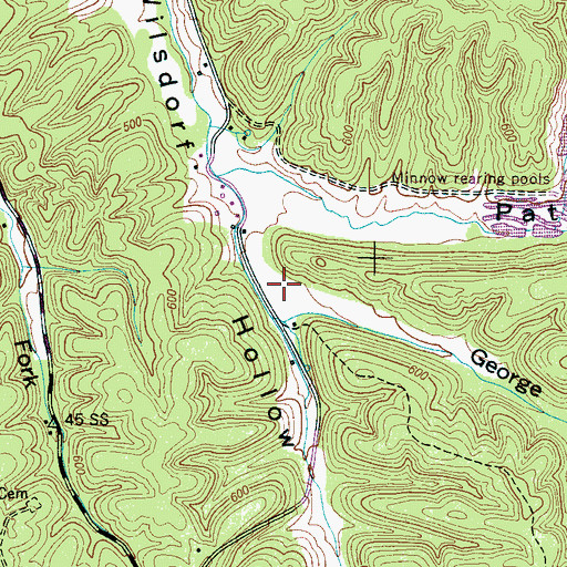 Topographic Map of George Hollow, TN