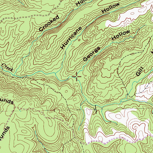 Topographic Map of George Hollow, TN