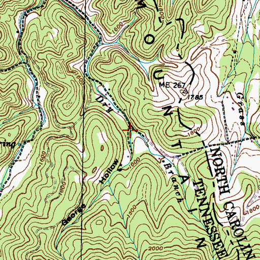 Topographic Map of George Hollow, TN