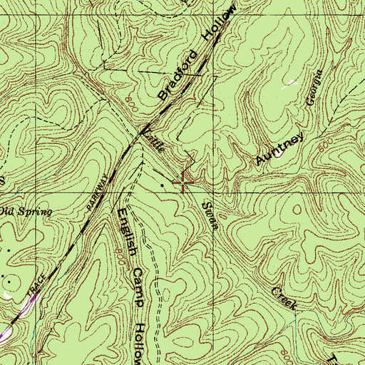 Topographic Map of Georgia Branch, TN