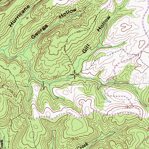 Topographic Map of Gill Hollow, TN