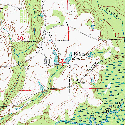 Topographic Map of Wallaces Pond, AL