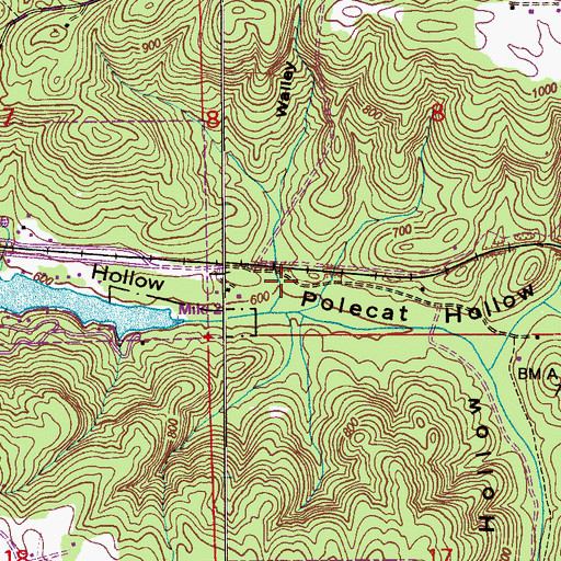 Topographic Map of Walley Hollow, AL