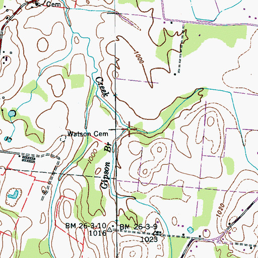 Topographic Map of Gipson Branch, TN