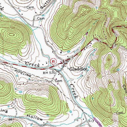 Topographic Map of Gladdice, TN