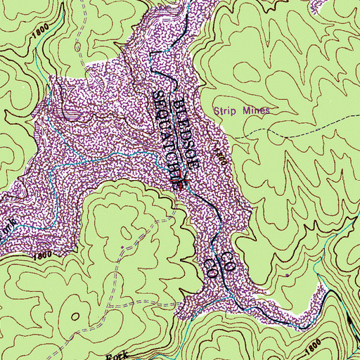 Topographic Map of Glady Fork, TN