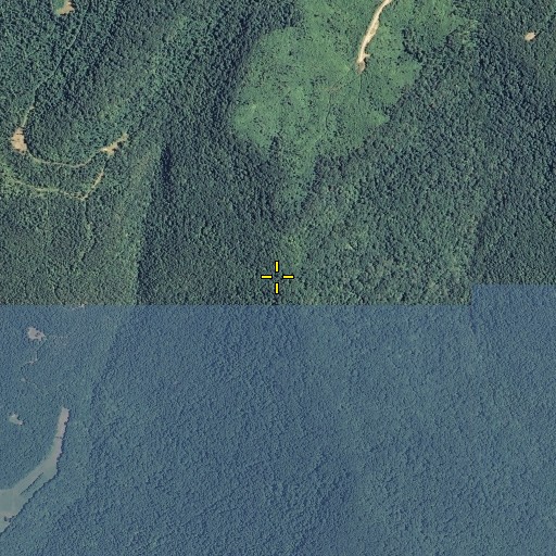 Aerial/Satellite Image of Walnut Gap, AL