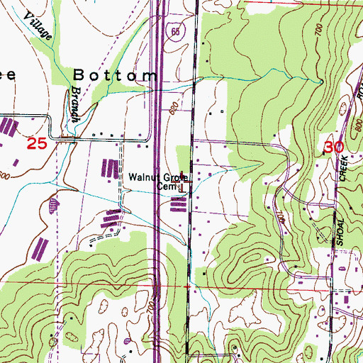 Topographic Map of Walnut Grove Cemetery, AL