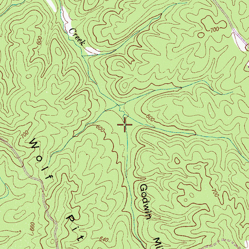 Topographic Map of Godwin Mill Hollow, TN