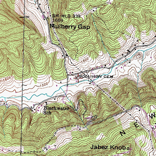 Topographic Map of Gollihon Cemetery, TN