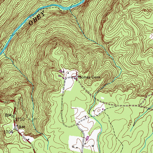 Topographic Map of Goney Cemetery, TN