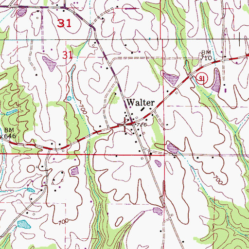 Topographic Map of Walter, AL