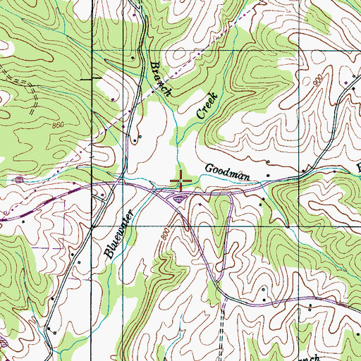 Topographic Map of Goodman Branch, TN