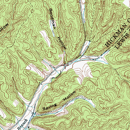 Topographic Map of Goodman Hollow, TN