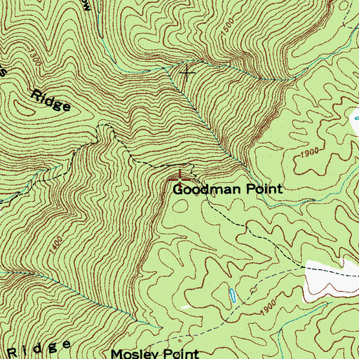 Topographic Map of Goodman Point, TN
