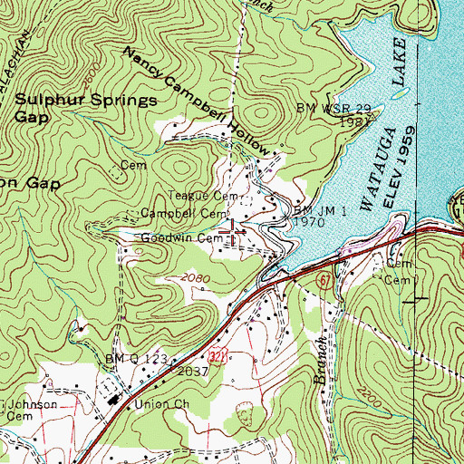 Topographic Map of Goodwin Cemetery, TN