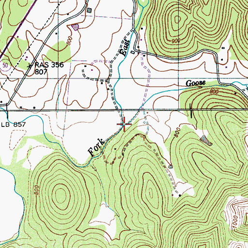 Topographic Map of Goose Branch, TN