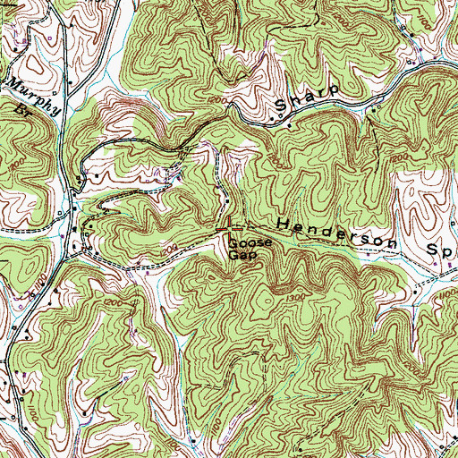 Topographic Map of Goose Gap, TN