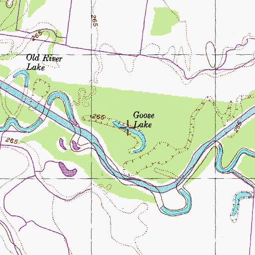 Topographic Map of Goose Lake, TN