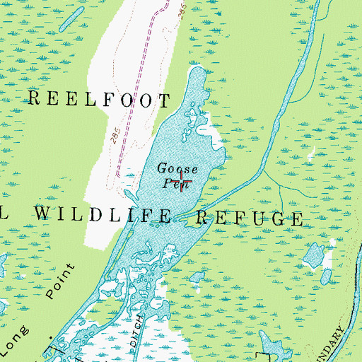 Topographic Map of Goose Pen, TN