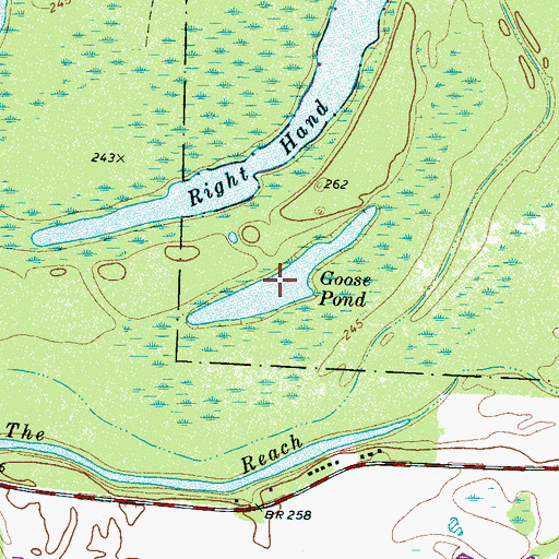 Topographic Map of Goose Pond, TN