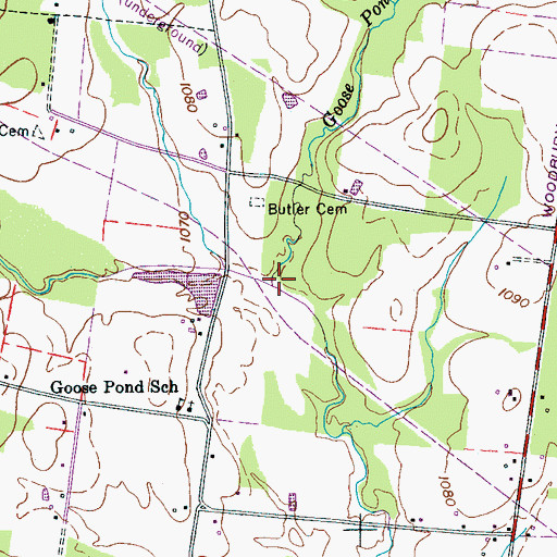 Topographic Map of Goose Pond Branch, TN