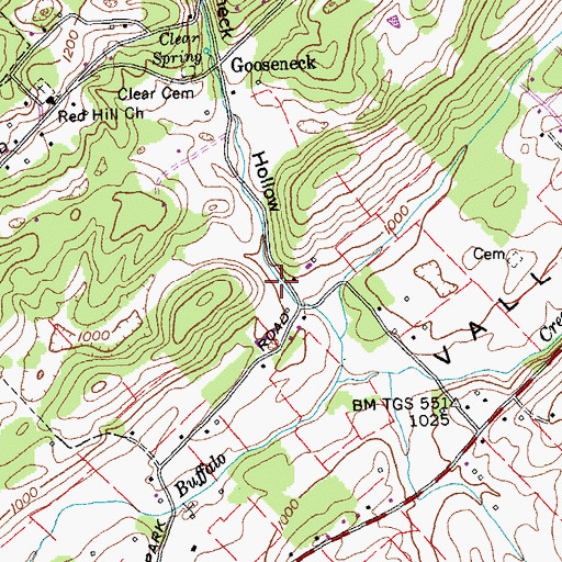 Topographic Map of Gooseneck Hollow, TN