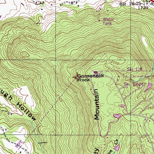 Topographic Map of Gooseneck Rock, TN