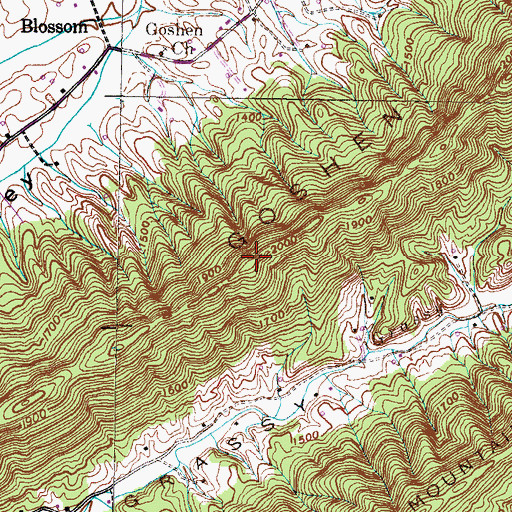 Topographic Map of Goshen Mountain, TN