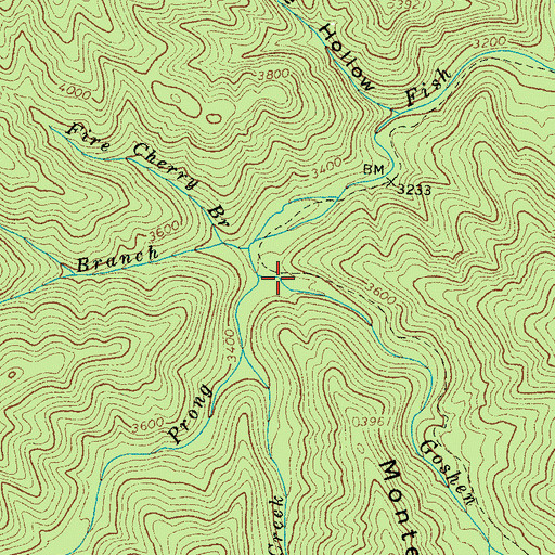 Topographic Map of Goshen Prong, TN