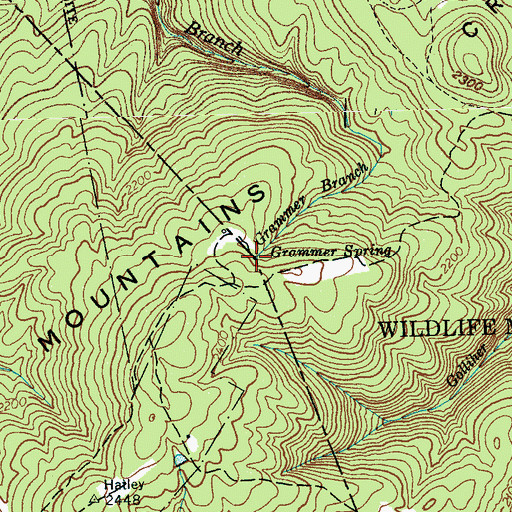 Topographic Map of Grammer Spring, TN