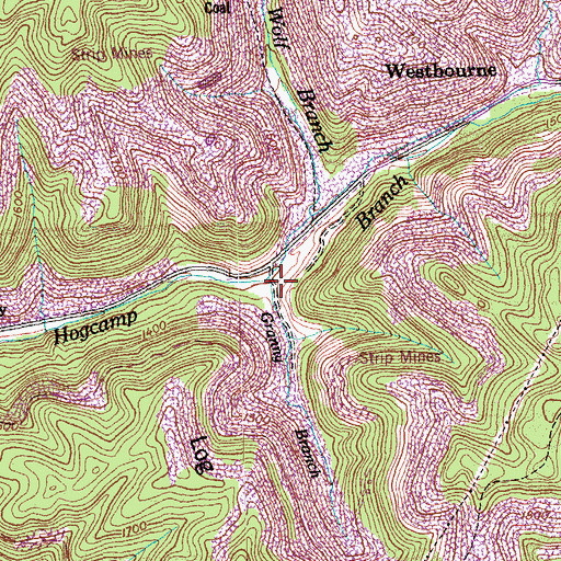 Topographic Map of Granny Branch, TN