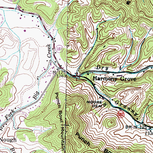 Topographic Map of Granny Branch, TN