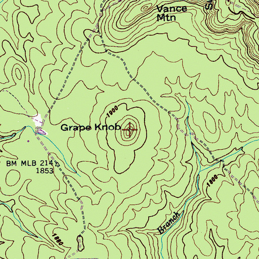 Topographic Map of Grape Knob, TN