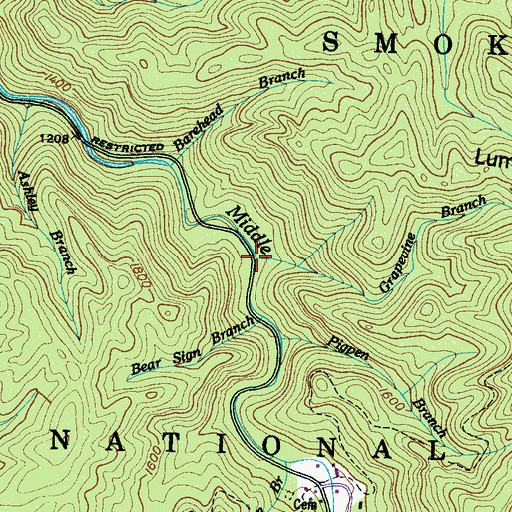 Topographic Map of Grapevine Branch, TN