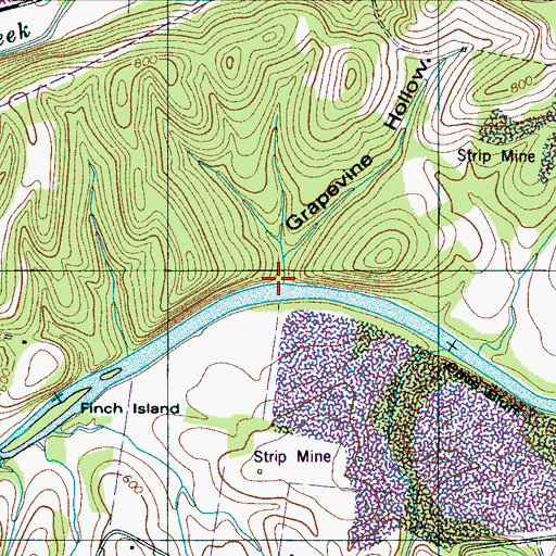 Topographic Map of Grapevine Hollow, TN