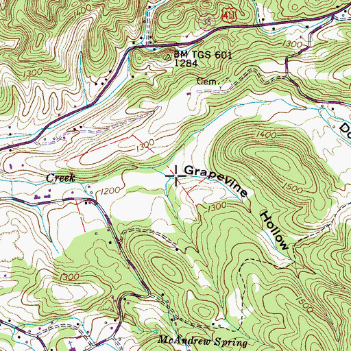 Topographic Map of Grapevine Hollow, TN