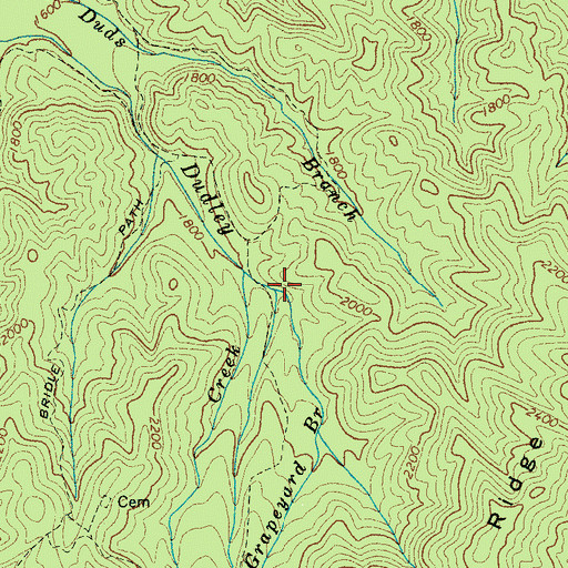 Topographic Map of Grapeyard Branch, TN