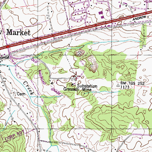 Topographic Map of Grasselli Mine, TN